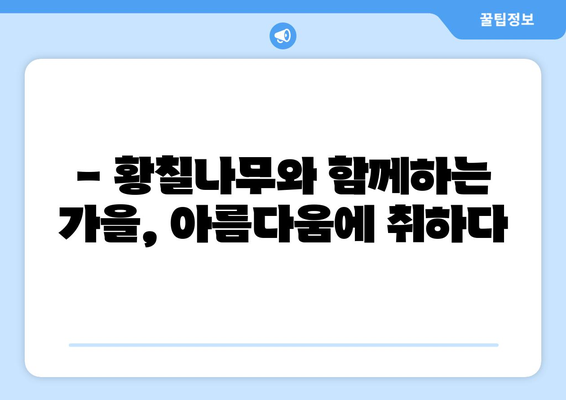 황칠나무와 함께하는 가을, 특별한 추억 만들기 | 황칠나무, 가을여행, 체험, 축제