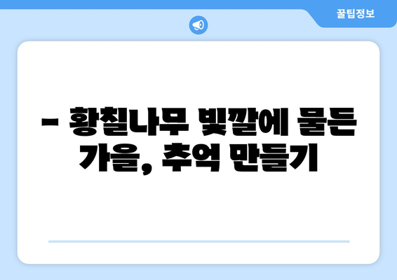 황칠나무와 함께하는 가을, 특별한 추억 만들기 | 황칠나무, 가을여행, 체험, 축제