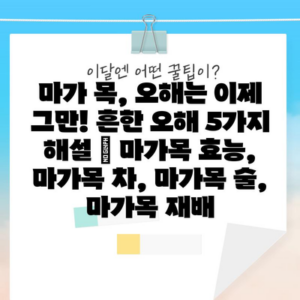마가 목, 오해는 이제 그만! 흔한 오해 5가지 해설 | 마가목 효능, 마가목 차, 마가목 술, 마가목 재배