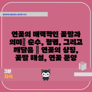 연꽃의 매력적인 꽃말과 의미| 순수, 청렴, 그리고 깨달음 | 연꽃의 상징, 꽃말 해설, 연꽃 문양