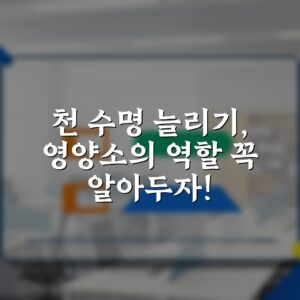 천 수명 늘리기, 영양소의 역할 꼭 알아두자!