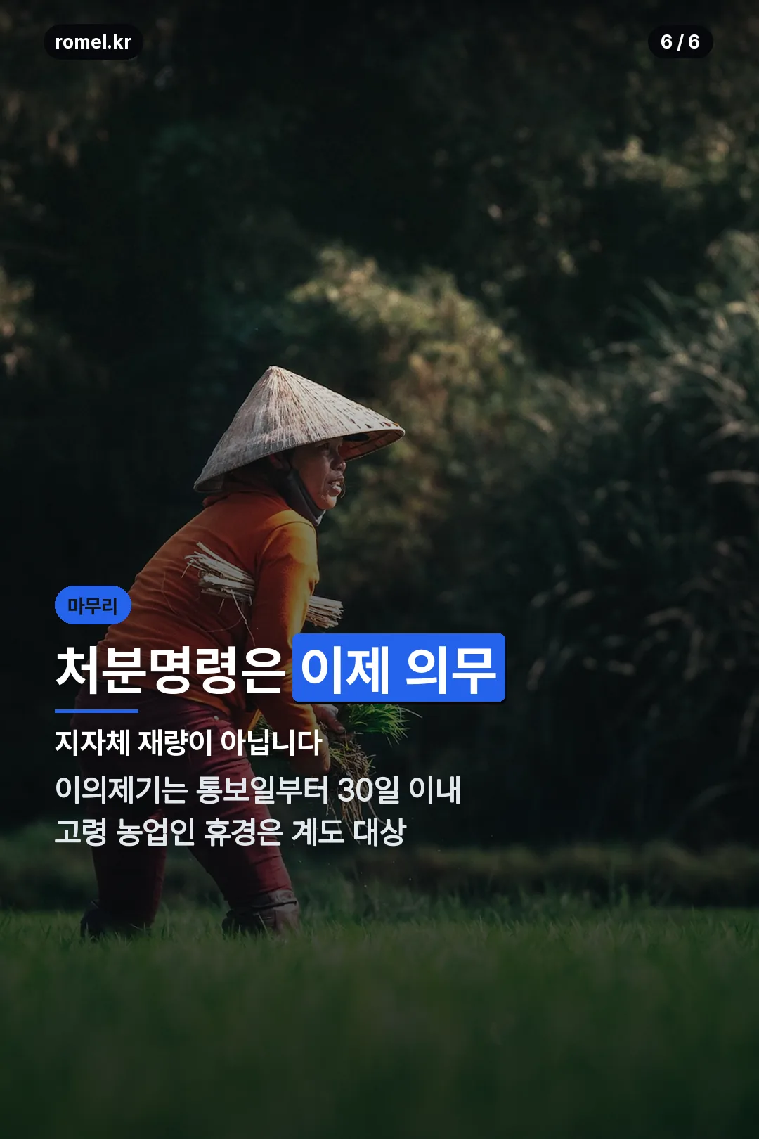처분명령 의무화 마무리