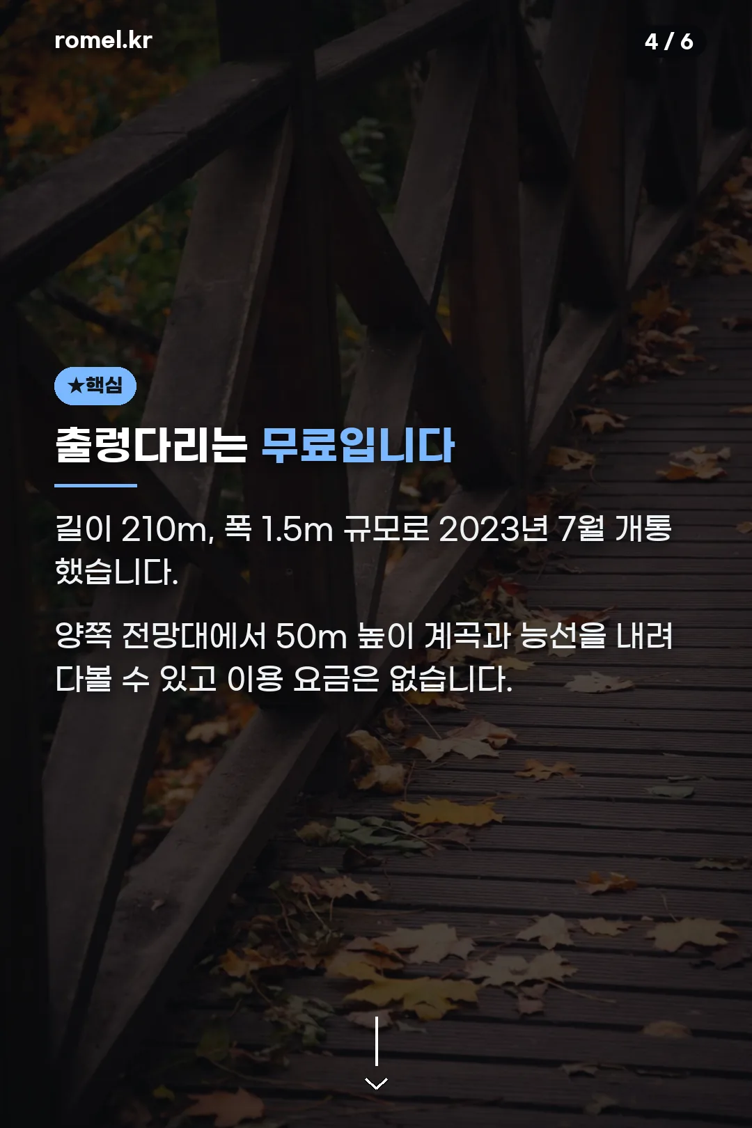 출렁다리 무료 이용