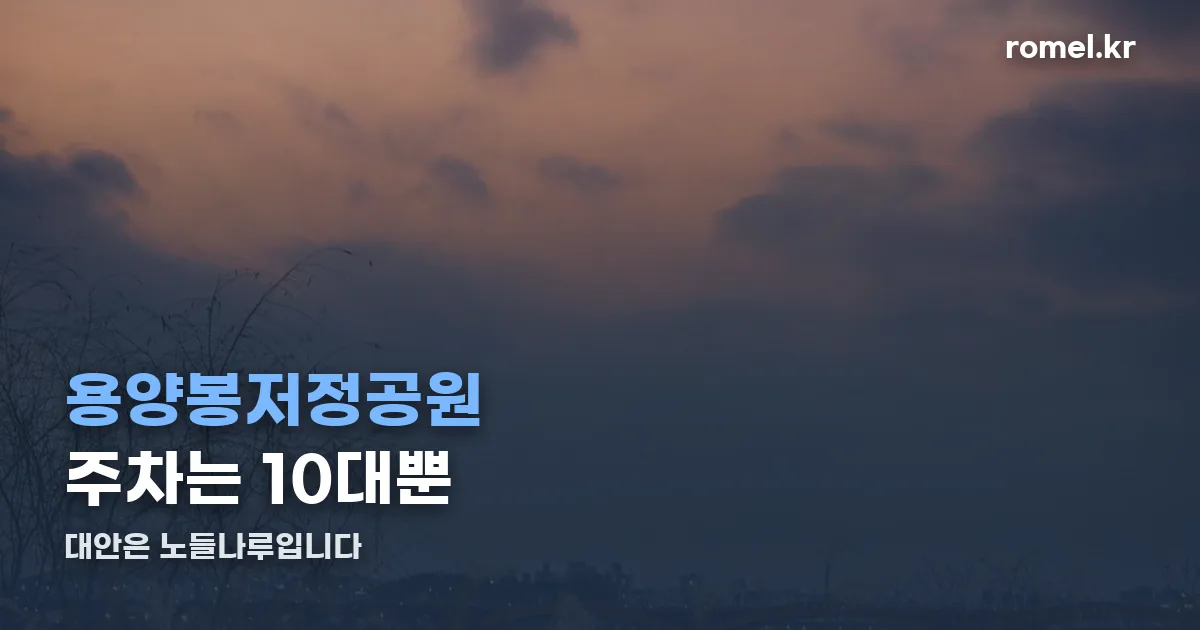 용양봉저정공원 주차 정리 썸네일